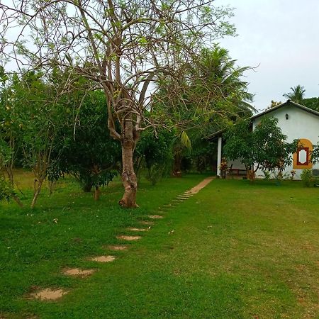 Hideaway Homestay ハバラナ エクステリア 写真