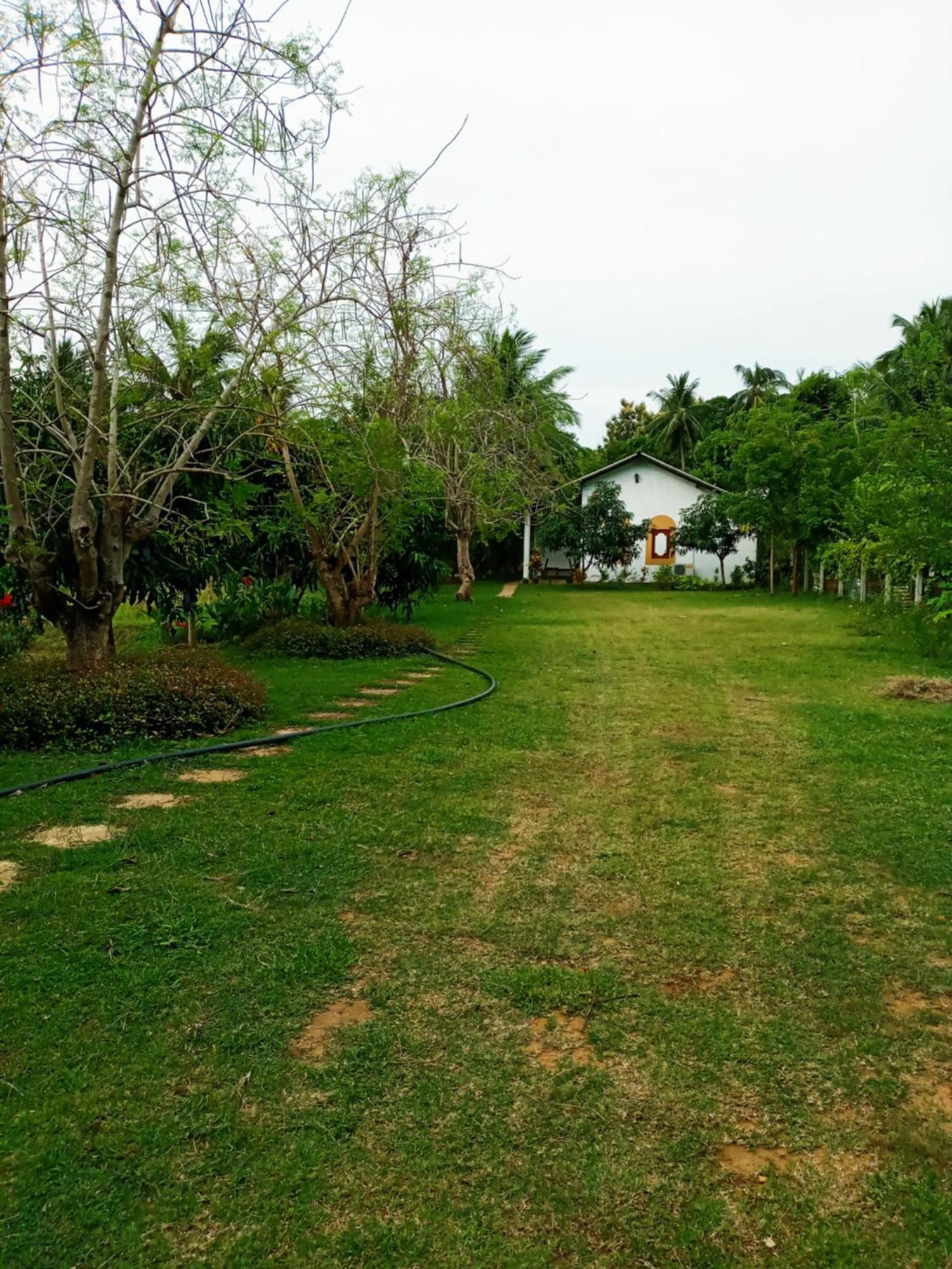 Hideaway Homestay ハバラナ エクステリア 写真