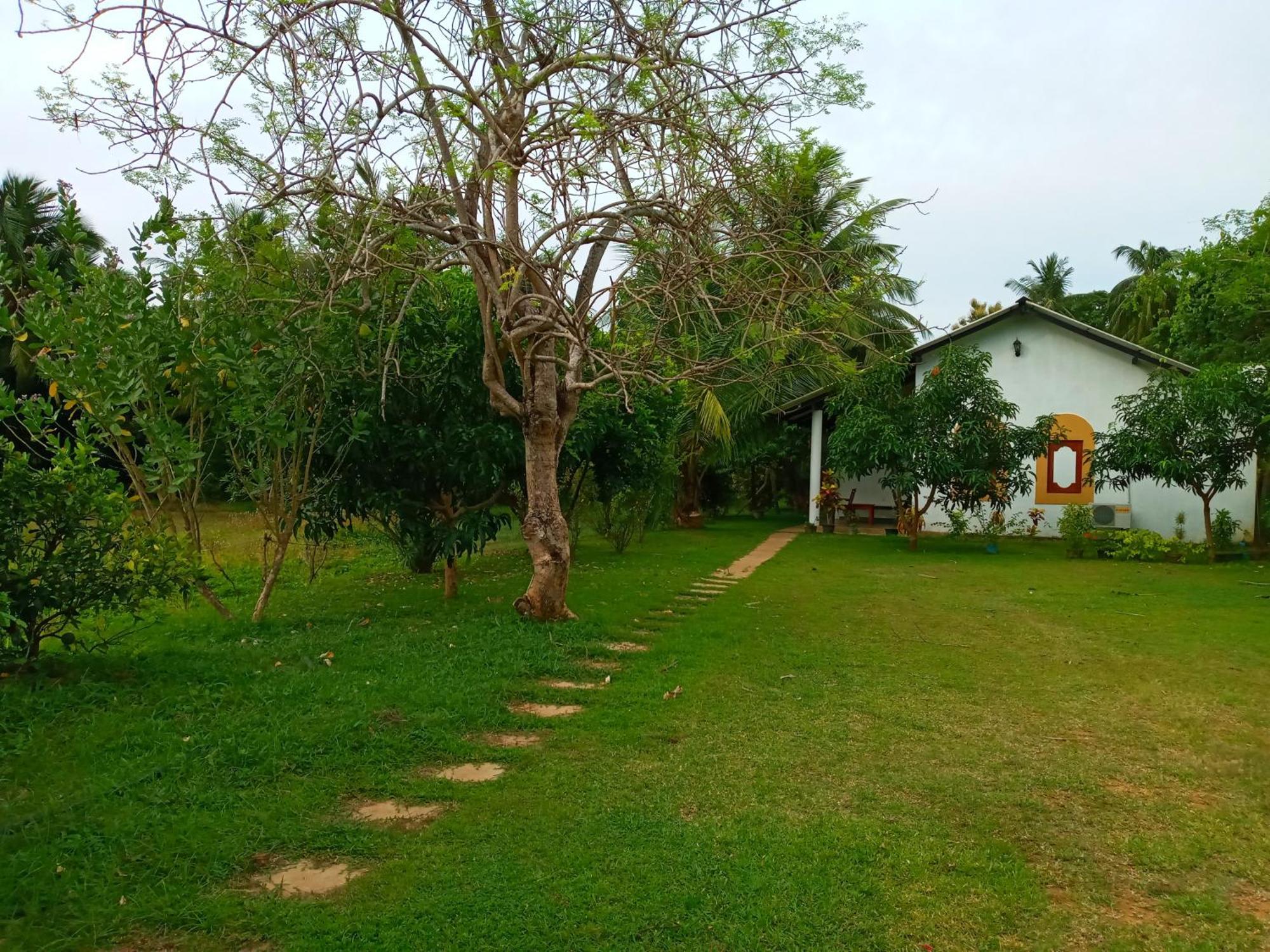 Hideaway Homestay ハバラナ エクステリア 写真