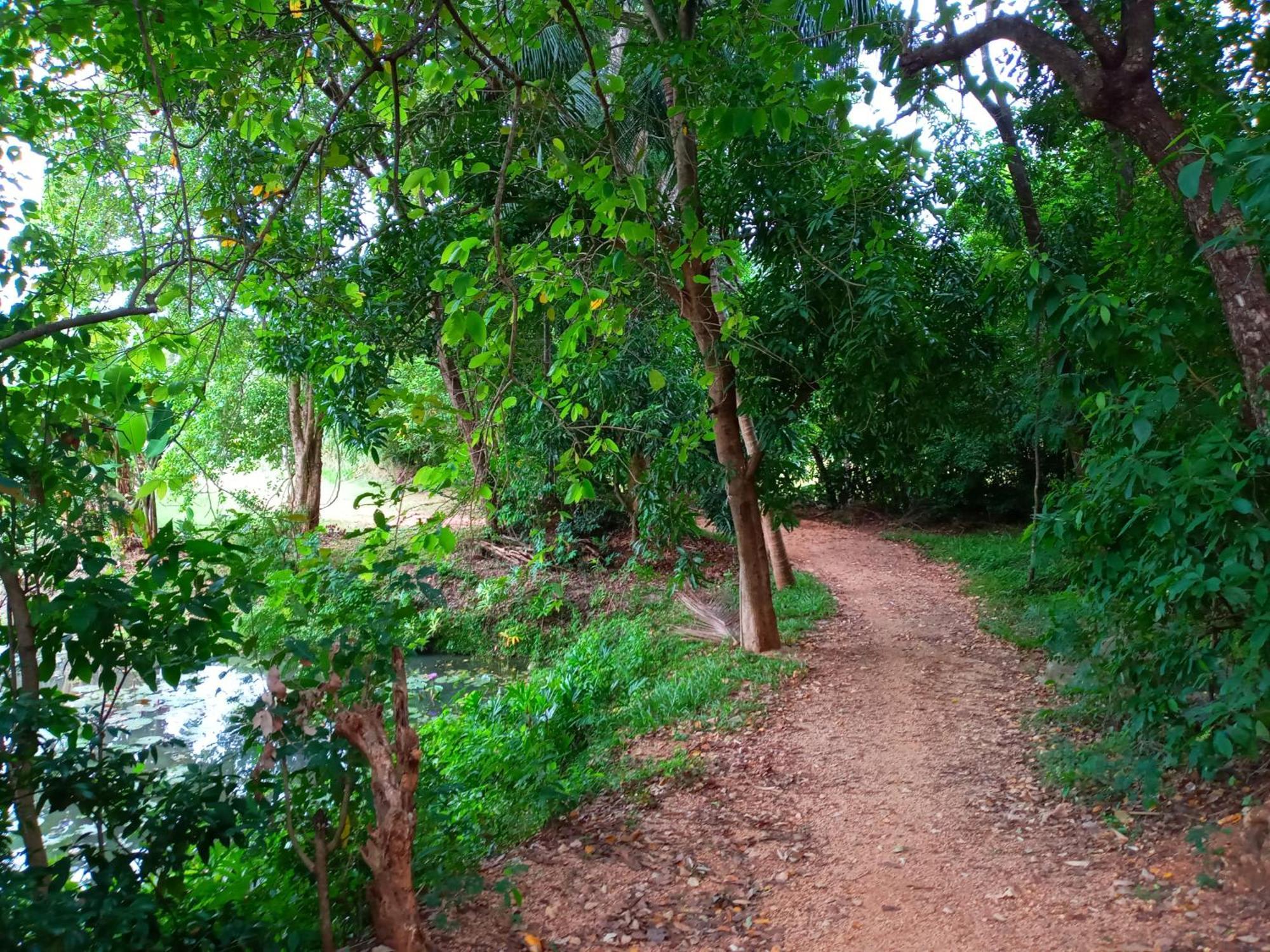 Hideaway Homestay ハバラナ エクステリア 写真