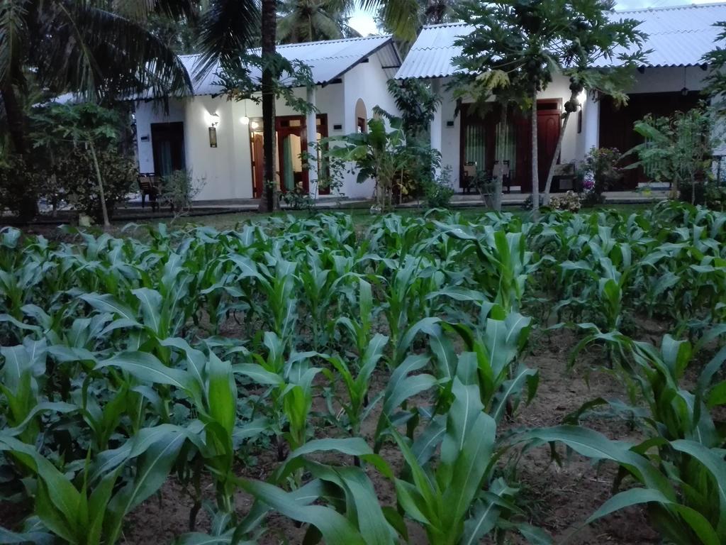Hideaway Homestay ハバラナ エクステリア 写真